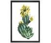 Slika Cactus Blossom 24x29 cm
