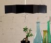 Полилей Sunny Glow Black