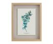Картина Eucalyptus Cordata 30x40 см