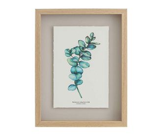 Картина Eucalyptus Cordata 30x40 см