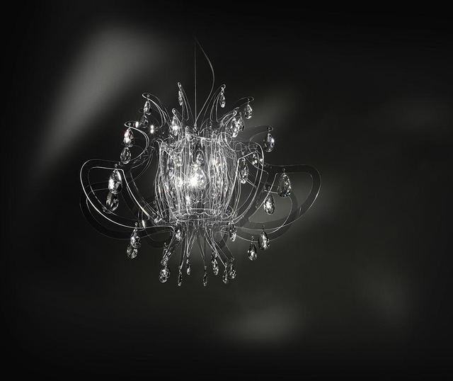Полилей Lillibet Transparent