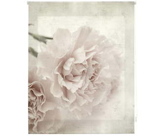Sepia Bloom Roletta 120x180 cm