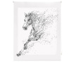 Jaluzea tip rulou Blindecor, Horse, poliester imprimat digital, 80x180 cm