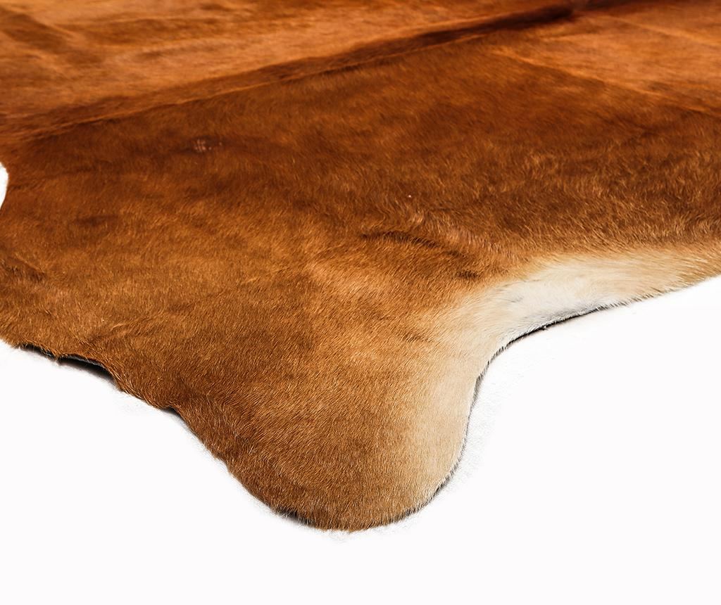 Preproga Hollybrook 165x200 cm - 2