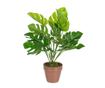 Umetna lončnica Monstera Baby thumbnail 1