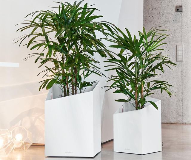 Комплект саксия с напоителна система и поставка Cursivo White Gloss S