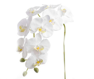Umetna cvetlica Orchid Eden