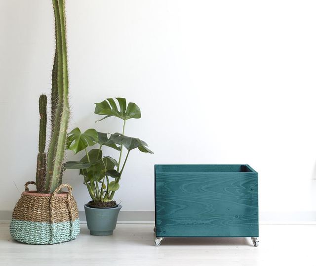 Щайга за съхранение Turquoise Limpet