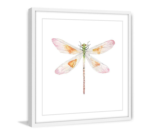 Slika Translucent Dragonfly 51x51 cm