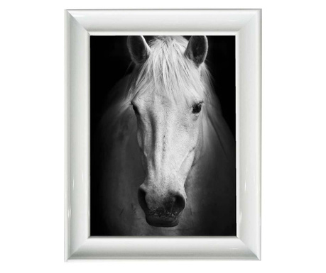 White Beauty Kép 40x50 cm