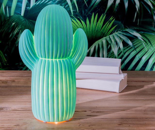Cactus Turquoise Éjjeli fény