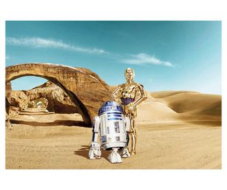 Stenska tapeta Star Wars Lost Droids 254x368 cm