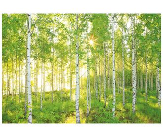 Stenska tapeta Sunday 248x368 cm