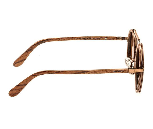 Unisex sončna očala Earth Wood Bondi Brown Ace
