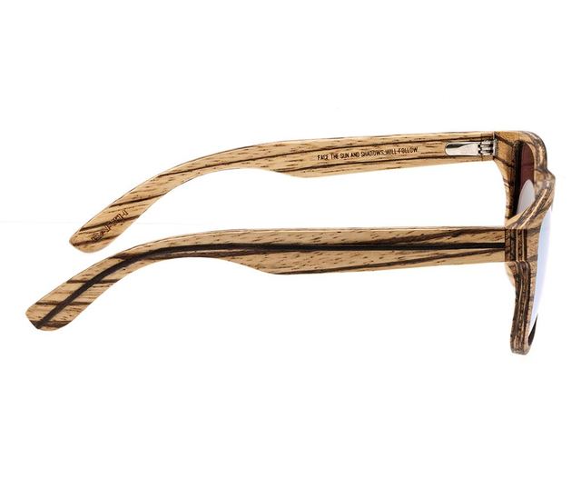 Moška sončna očala Earth Wood Solana Brown Zebra