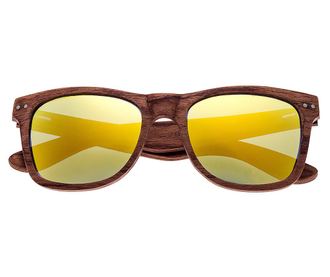 Moška sončna očala Earth Wood Cape Cod Brown Ace