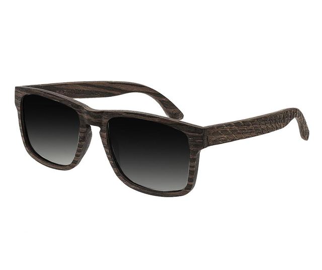 Moška sončna očala Earth Wood Whitehaven Dark Brown