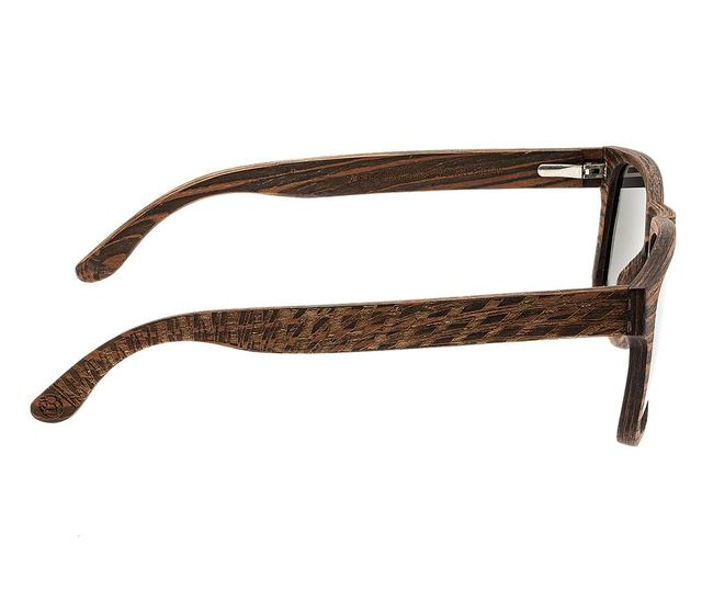 Moška sončna očala Earth Wood Whitehaven Dark Brown