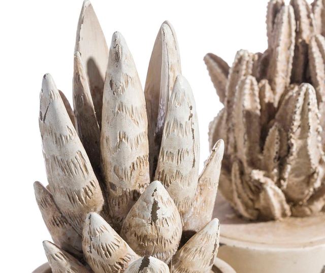 Dekorace Cactus