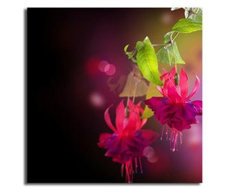 Slika Fuchsia Flowers