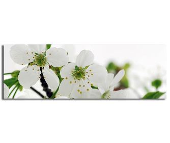 Slika Flowers 30x90 cm