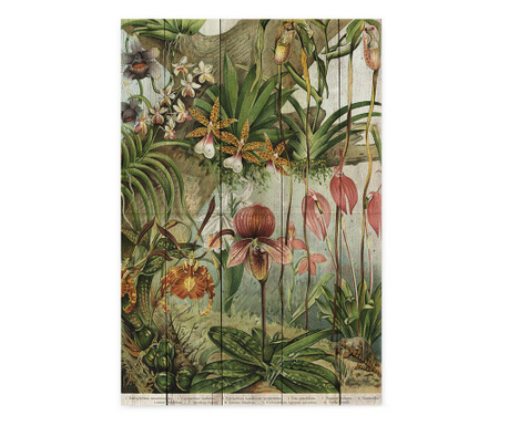 Obraz Jungle Flowers 40x60 cm
