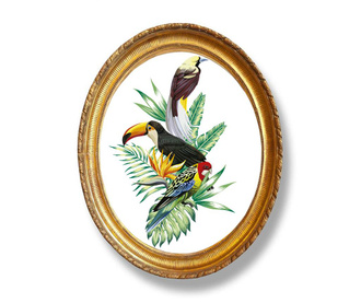 Tropical Birds Kép 40x50 cm