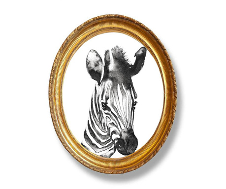 Obraz Zebra 40x50 cm