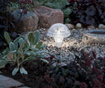 Solarna svetilka Assisi Mushroom White