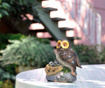 Alarma antidaunatori Owl