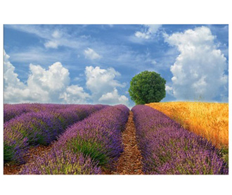 Slika Field Of Flowers 80x120 cm