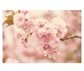Картина Pink Flower 60x90 см