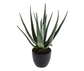 Planta artificiala in ghiveci Aloe in a Pot