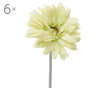 Комплект 6 изкуствени цветя Transvaal Daisy Green