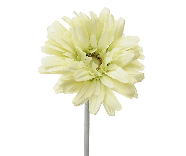Комплект 6 изкуствени цветя Transvaal Daisy Green