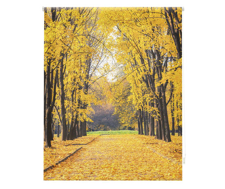 Jaluzea tip rulou Blindecor, Forever Autumn, poliester imprimat digital, 80x180 cm