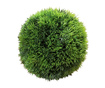 Grass Ball Dekoráció L