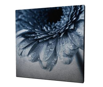 Slika Old Rain 45x45 cm