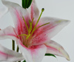 Изкуствено цвете Lily Golden