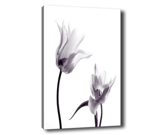 Two Flowers Kép 70x100 cm