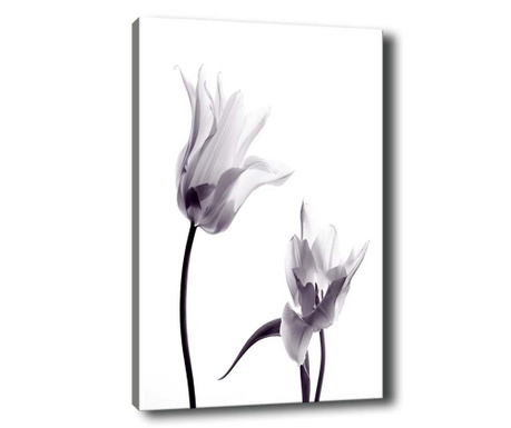 Two Flowers Kép 50x70 cm