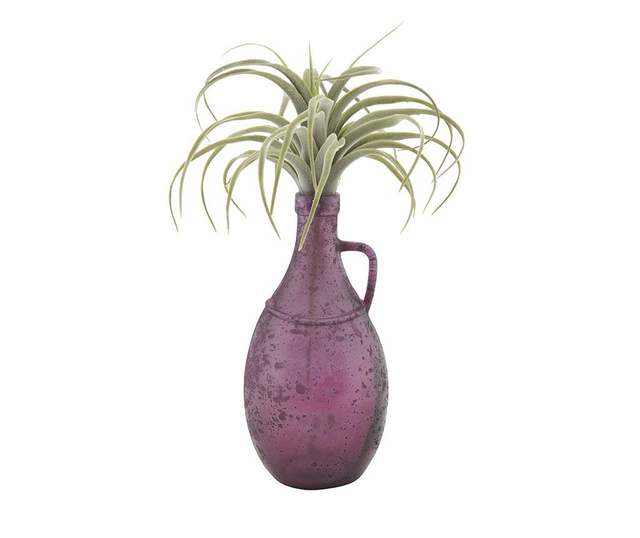 Vaza Chad Pitcher Purple