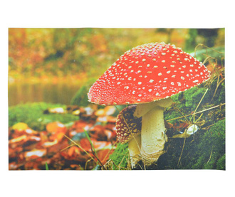Входна изтривалка Mushroom 59.5x90.5 см