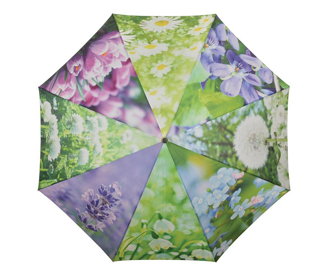 Parasolka Flowers
