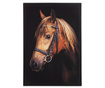 Slika Horse 72x102 cm
