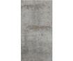 Grey Pigeon Tapéta 50x1000 cm