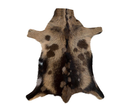 δέρμα κατσίκας Jaylene 40x60 cm