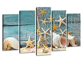 Set 5 slik 3D Shell