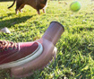 Aruncator de mingi pentru caini Innovagoods, InnovaGoods Playdog