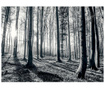 Black and White Forest Tapéta 232x315 cm